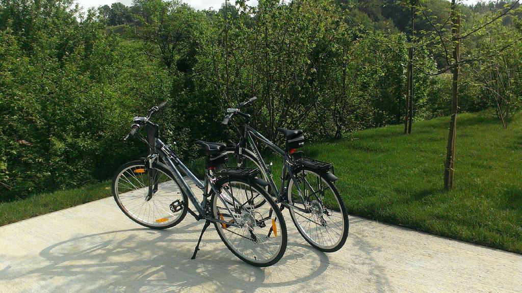 Ortenia Apartments In Nature Podčetrtek Værelse billede